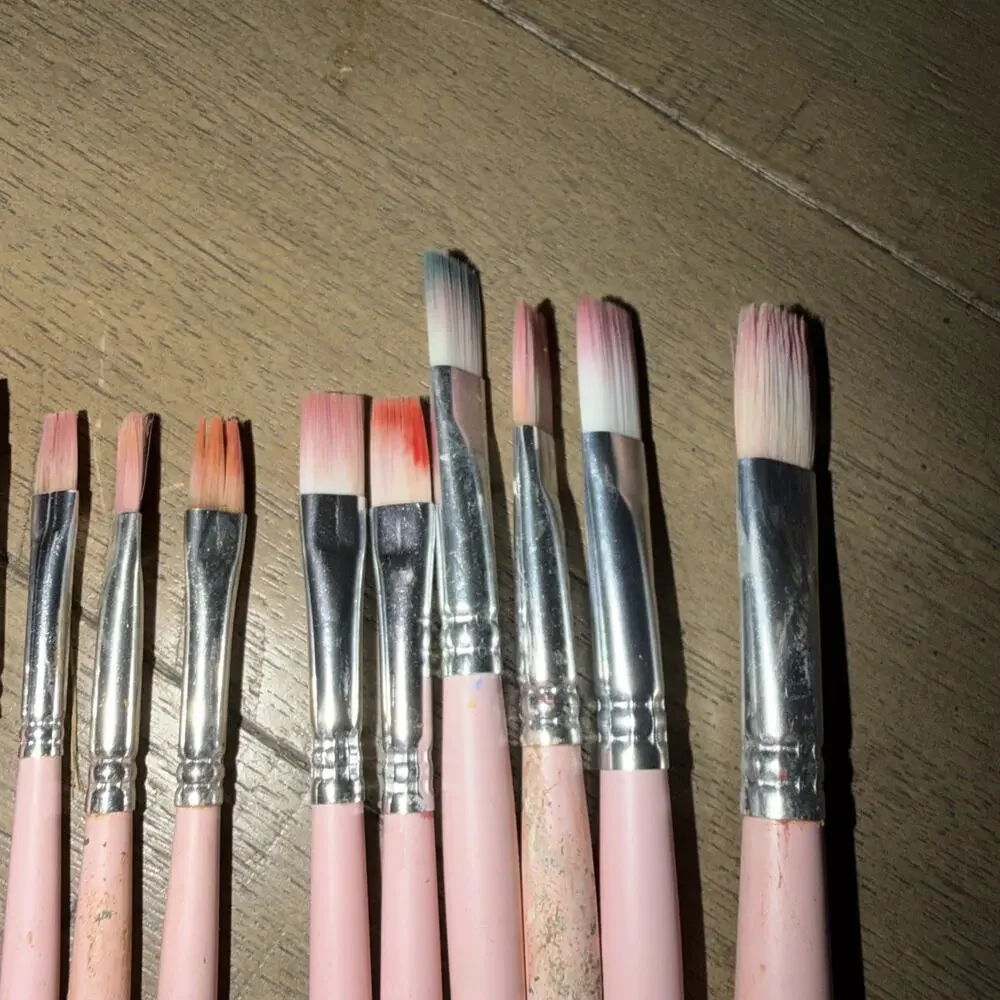 Somime Professional Watercolor Paint Brush Set 12 Pcs Round Flat Pink Well Loved